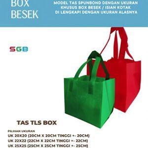 Tas Spunbond membentuk Box 25 x 25 ( TLS40)  - Goodie Bag - Tas besek
